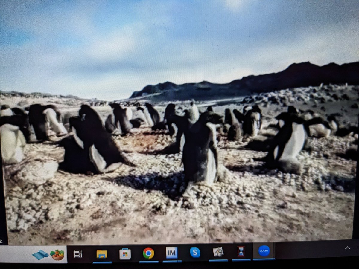 Todd Flory tweet media