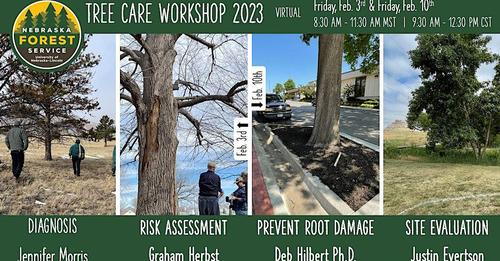 Here is a two-day virtual, online workshop from Nebraska Forest Service. The fee is $20. Please register at lnkd.in/gqvGVqce to participate. #NebExt