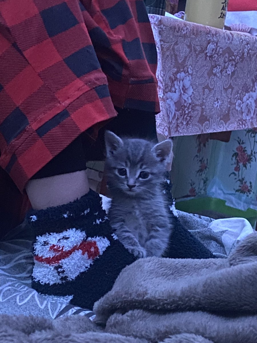 у моей подружки живут 2 супер сладких сыночка🥺🥺