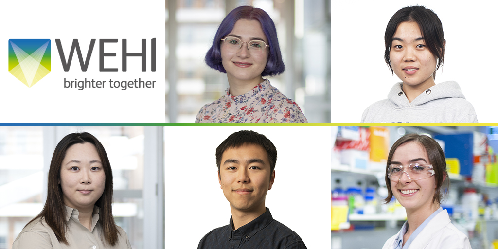 WEHI_research's tweet photo. Congrats to our five PhD students who have received @CSL Translational #DataScience Scholarships! 👏👏
 
The inaugural funding program is a new WEHI-CSL collaboration aimed at fostering #drugdiscovery research.  🧵 1/3 https://t.co/Lxihl6yik8