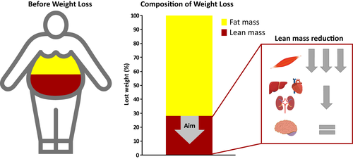 Beyond appetite regulation: Targeting energy expenditure, fat oxidation, and lean mass preservation for sustainable weight loss

onlinelibrary.wiley.com/doi/full/10.10…