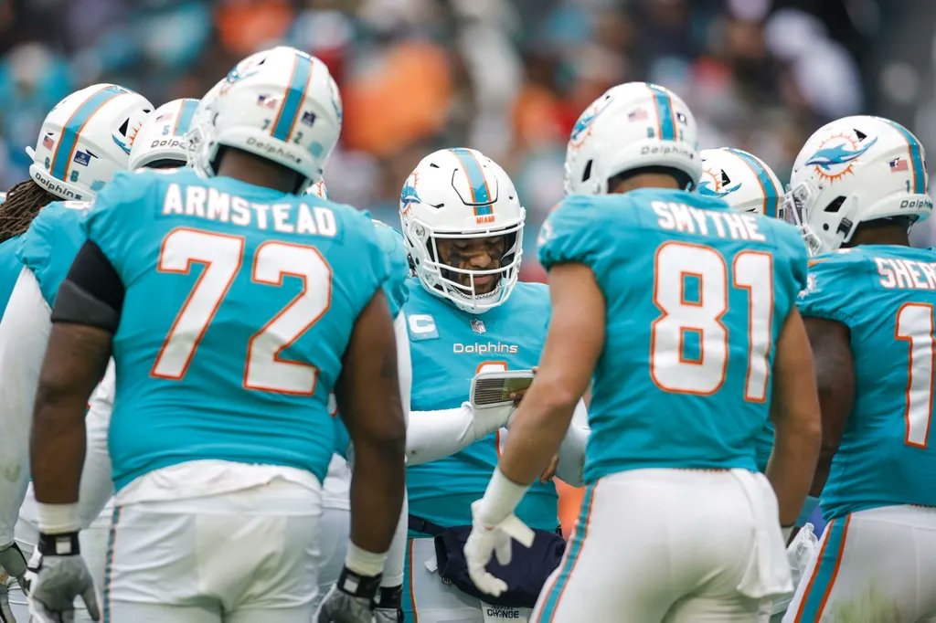 Dolphin Nation tweet media