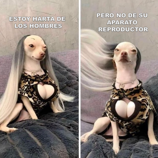lacabraperuana's tweet photo. 😉💅 #memegay #gayperu https://t.co/zVptjhhXp4