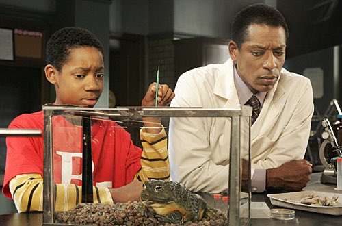 IAMNJERA's tweet photo. I love that Orlando Jones plays Gregory’s dad on #AbbottElementary . Perfect casting for these two AND a full circle moment from Everybody Hates Chris. https://t.co/IfhqT2g5FC
