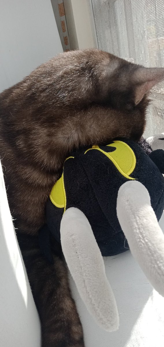 SGirl4445's tweet photo. I think Mrs. Meow Meow found Mr. Meow Meow❤️❤️❤️
#RENEWTHECUPHEADSHOW #Cats #devilcuphead #devilcupheadshow https://t.co/4sfZl4DbJp