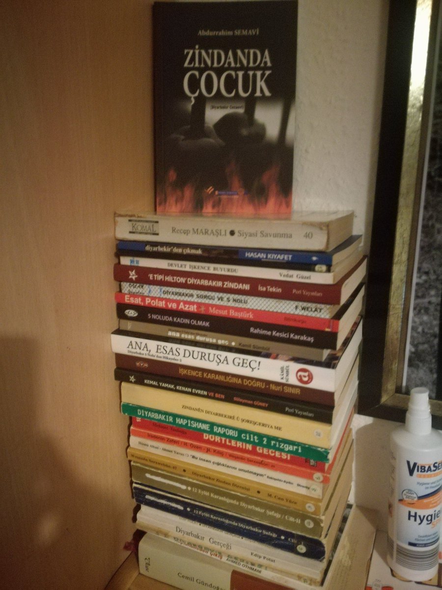 Diyarbakirin müze olmasi sizi ilgilendirir mi?