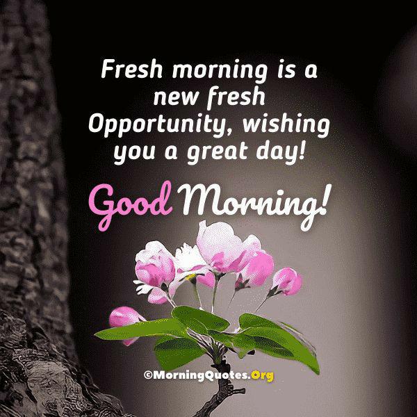 Bhaliya Vibha (@bhaliyavibha) on Twitter photo 