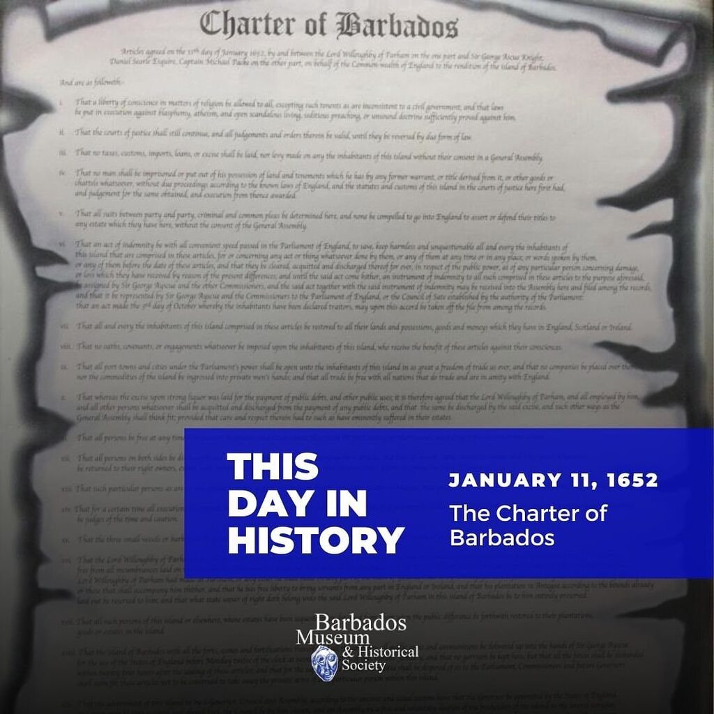 Bazodee Magazine tweet media