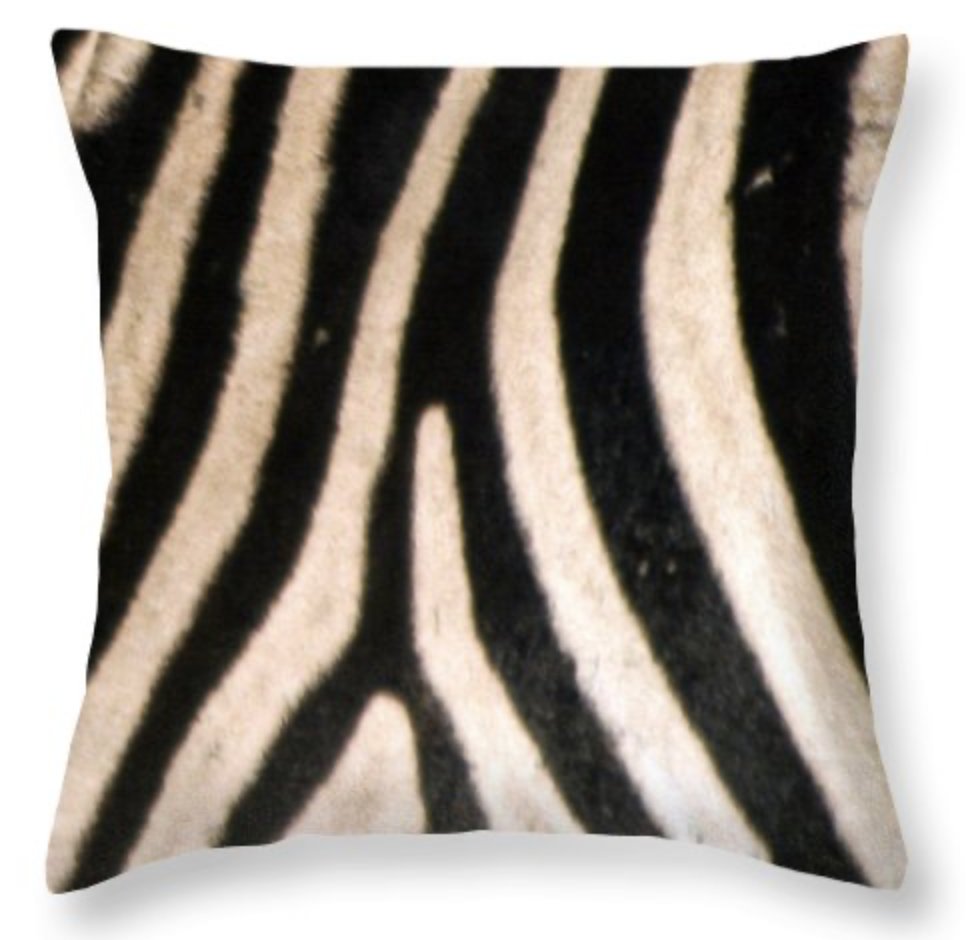KarenZukArtist's tweet photo. Thanks to the buyer in Stone Mountain GA who purchased 2 different pillows from my Wildlife Collection.
https://t.co/PbpoExfGUL
#wildlifephotography #zebrapillow #animalgifts #zebraface #zebralovergift #BuyIntoArt #ShopEarly #GiftThemArt #HolidayShopping #AYearForArt https://t.co/v3nmTt7OqJ