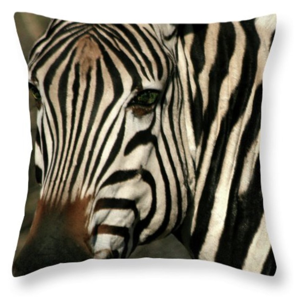 KarenZukArtist's tweet photo. Thanks to the buyer in Stone Mountain GA who purchased 2 different pillows from my Wildlife Collection.
https://t.co/PbpoExfGUL
#wildlifephotography #zebrapillow #animalgifts #zebraface #zebralovergift #BuyIntoArt #ShopEarly #GiftThemArt #HolidayShopping #AYearForArt https://t.co/v3nmTt7OqJ