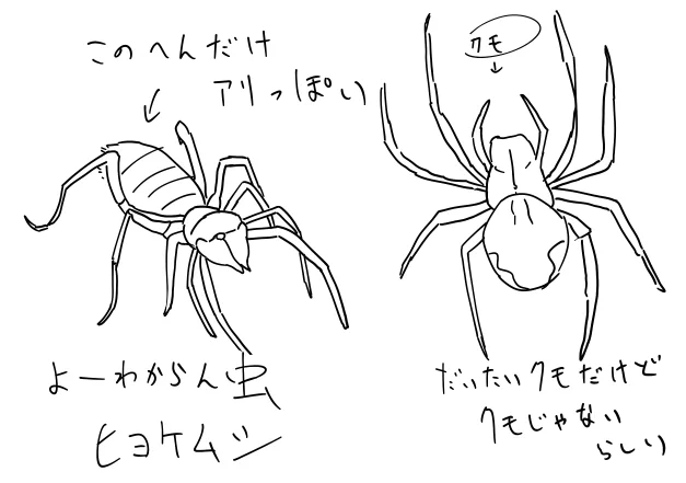 危険生物図鑑を読んでいました 