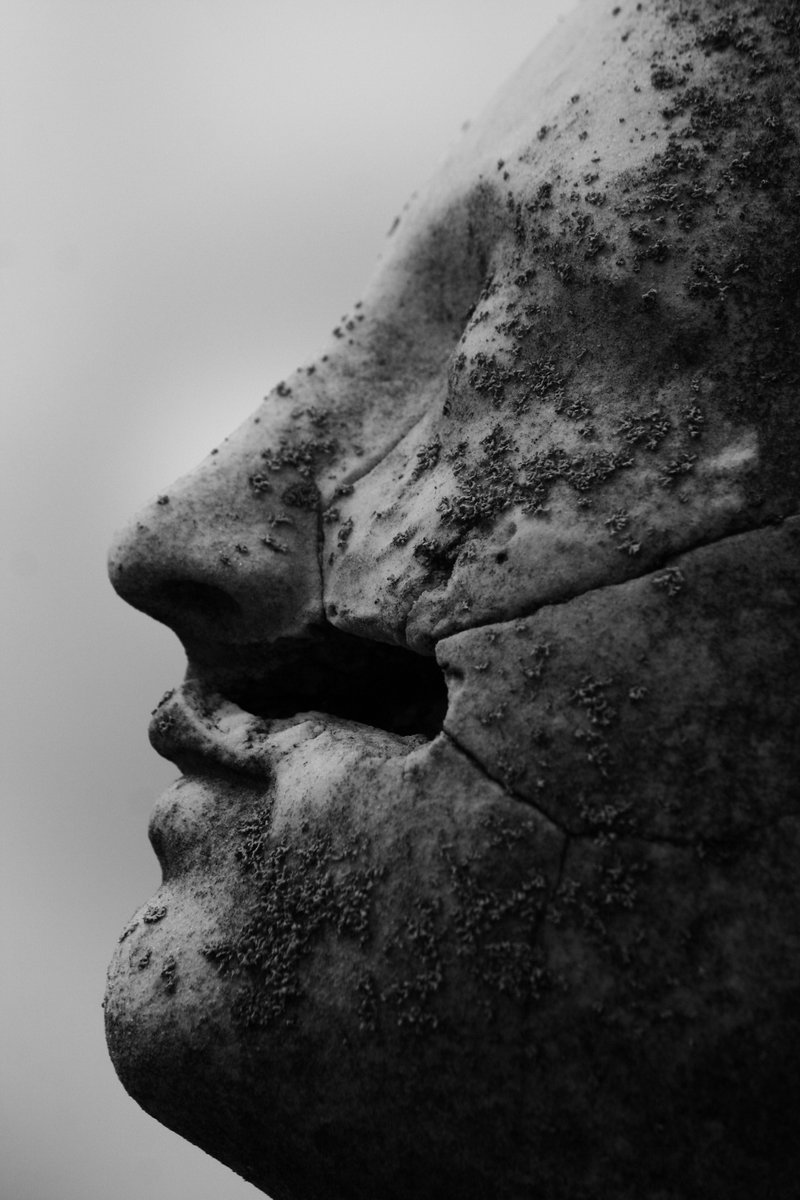 Archillect (@archillect) on Twitter photo 