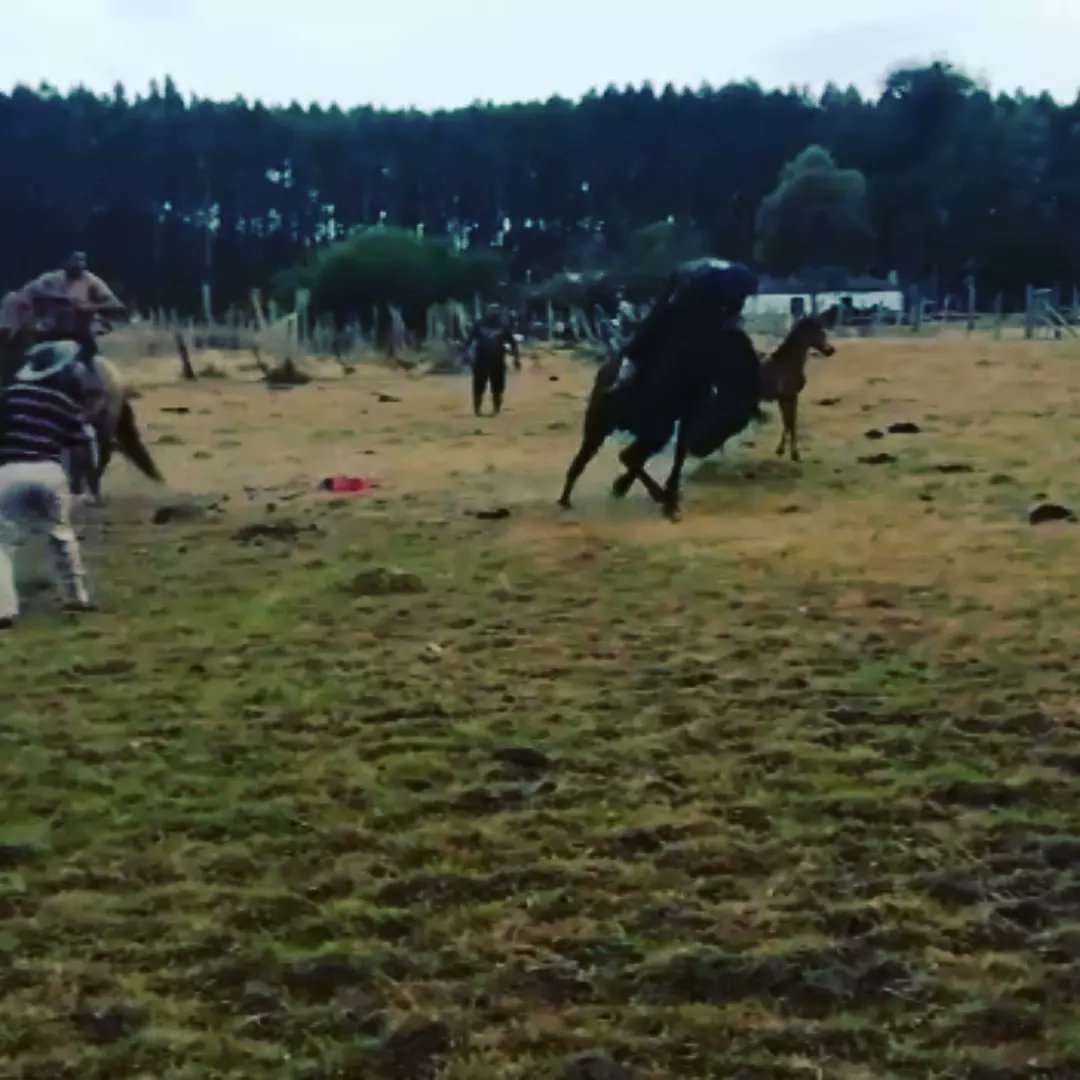 Si hablamos de algo sano es esto🔥