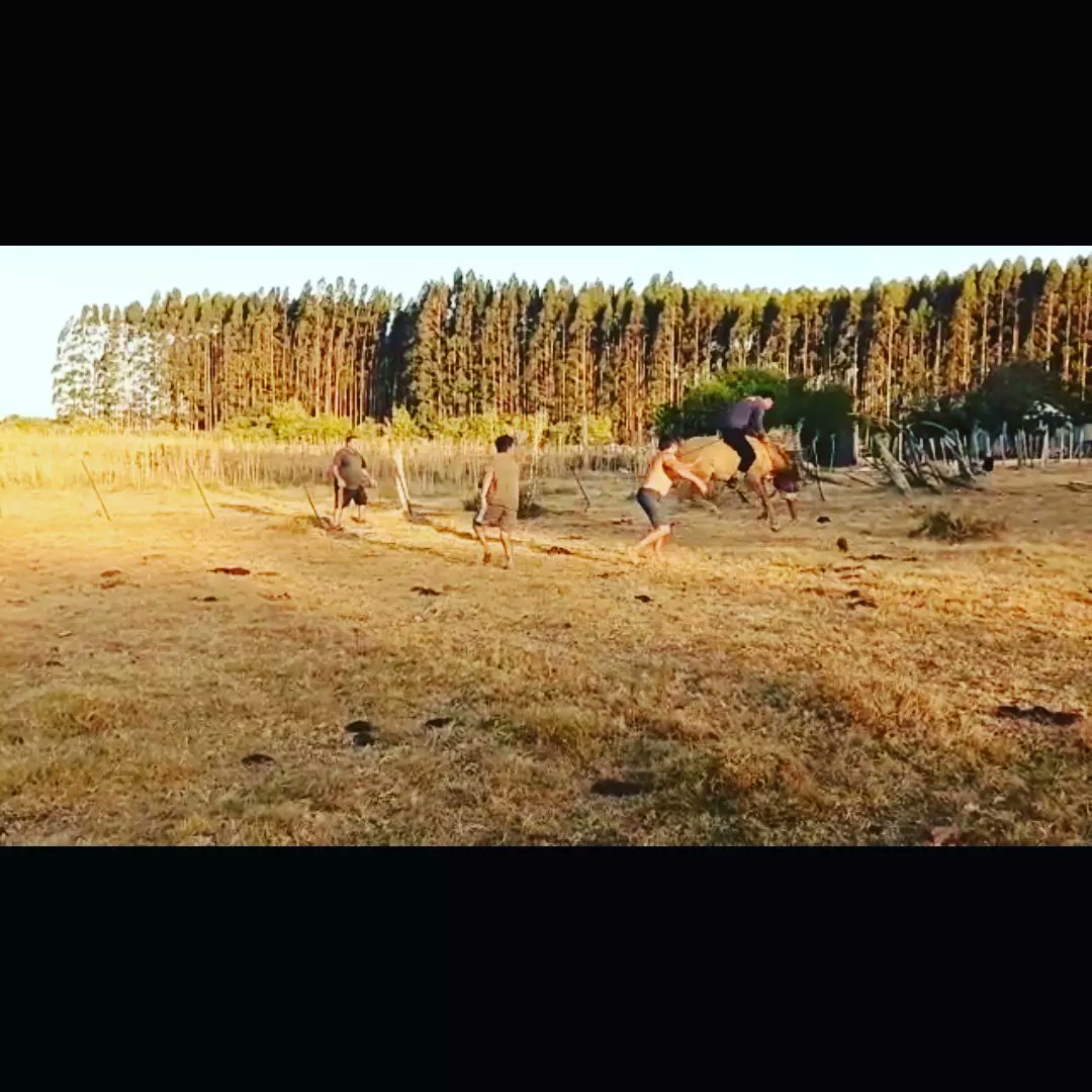 X donde fuimos legal en la vida