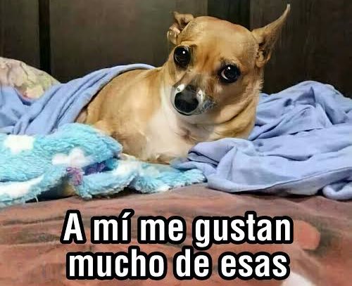 coolturafin's tweet photo. “Las mujeres ya no lloran las mujeres facturan”

El SAT: https://t.co/Khf5YDQjjJ