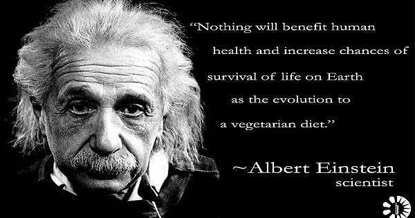 Raghwant77's tweet photo. if Albert Einstein was supposed to be so smart … then why not agree with everything he said #stopmeat #savetheplanet https://t.co/Qwmtb5hSuO
