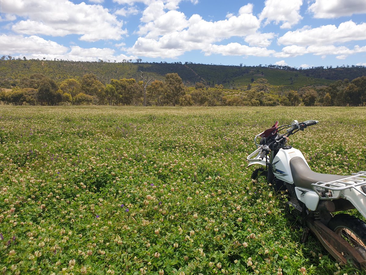 Andrew Smith tweet media