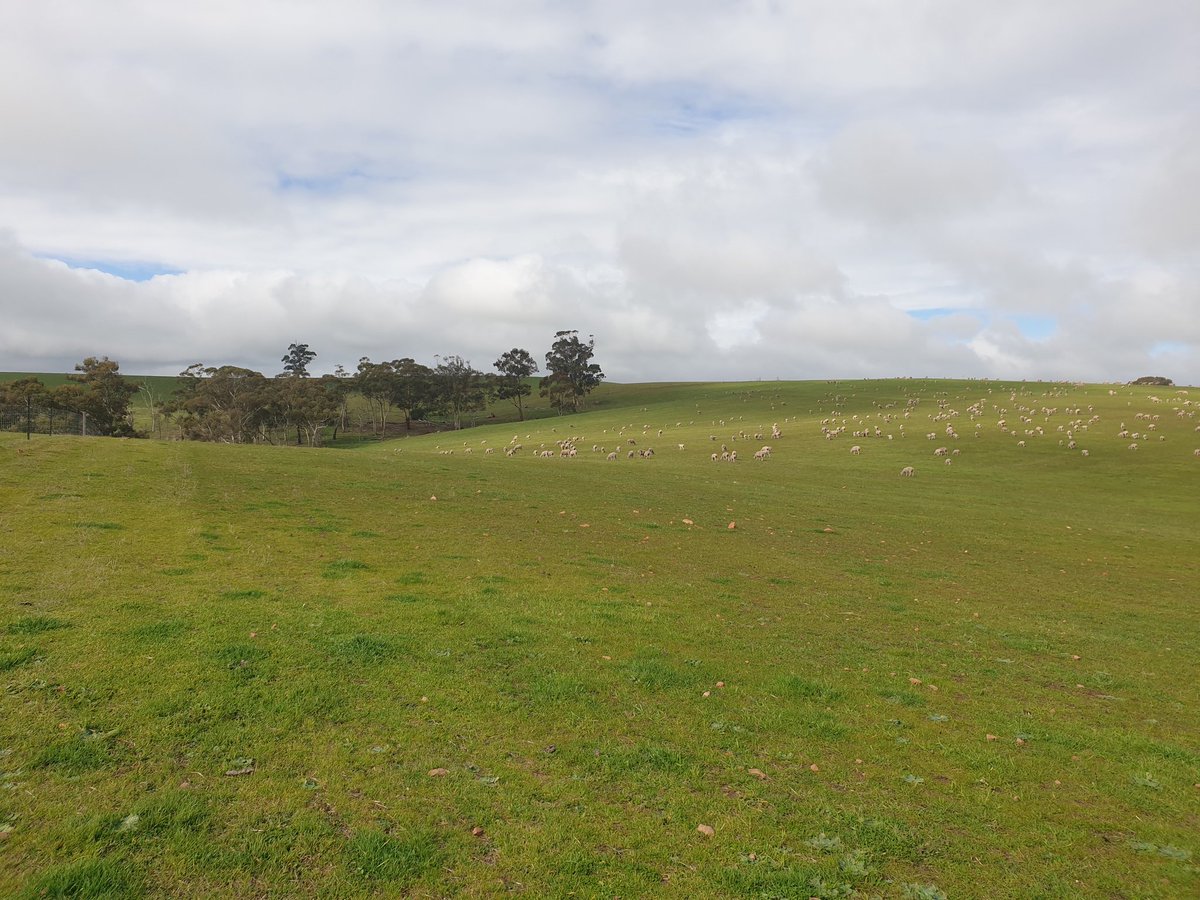 Andrew Smith tweet media