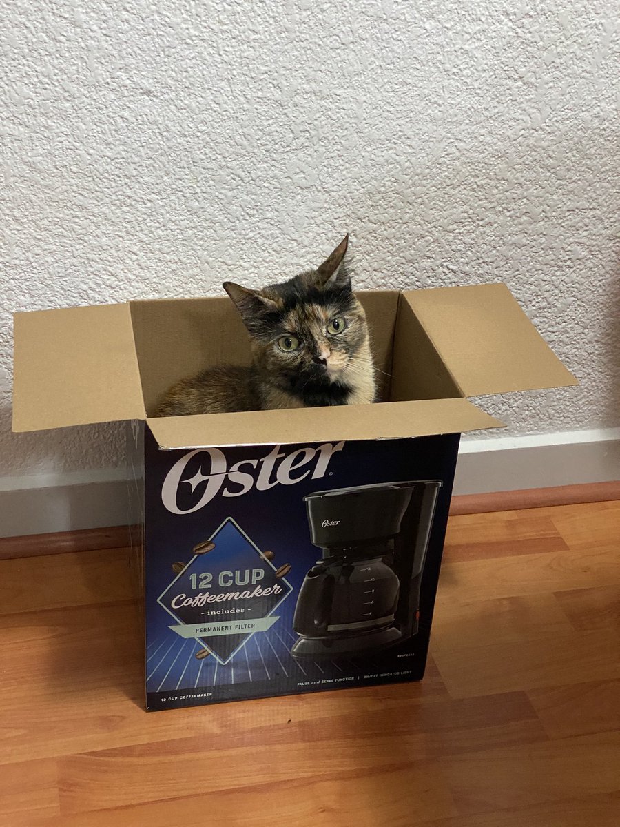 The hooman just got me a new box! I love it so much that I’m sending headbonks to all of you! #CatsofTwittter #CatsOnTwitter #tortieclub #tortie #cats #Cat #catsinboxes