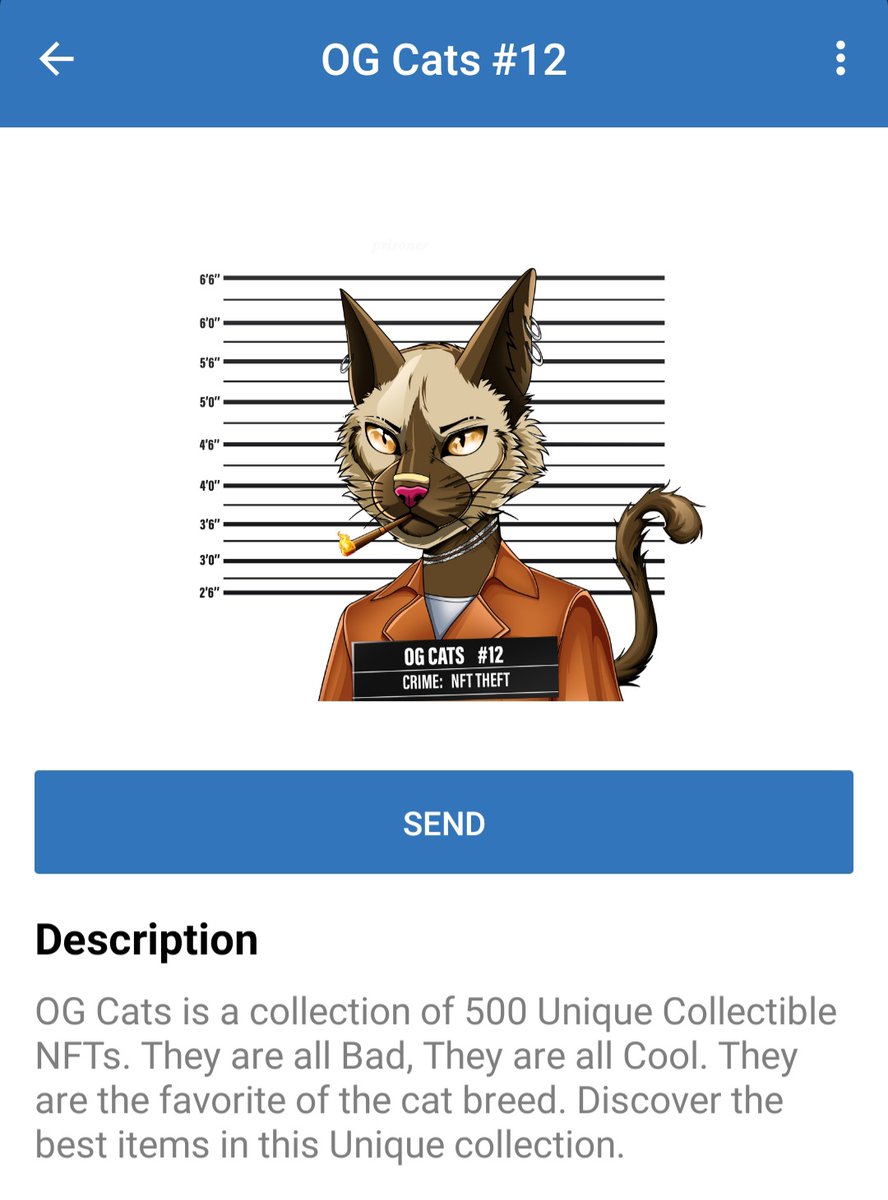 Blairsville210's tweet photo. BAD TO THE MEOW 
Look at this poor pussycat,maybe you could help his bail back into family home, by simply minting 1 of his friends today, check https://t.co/Jaci3jJJek TG page for more details, see you there unless arrested first.,MEOW NOW. https://t.co/zKPJTJ7uad