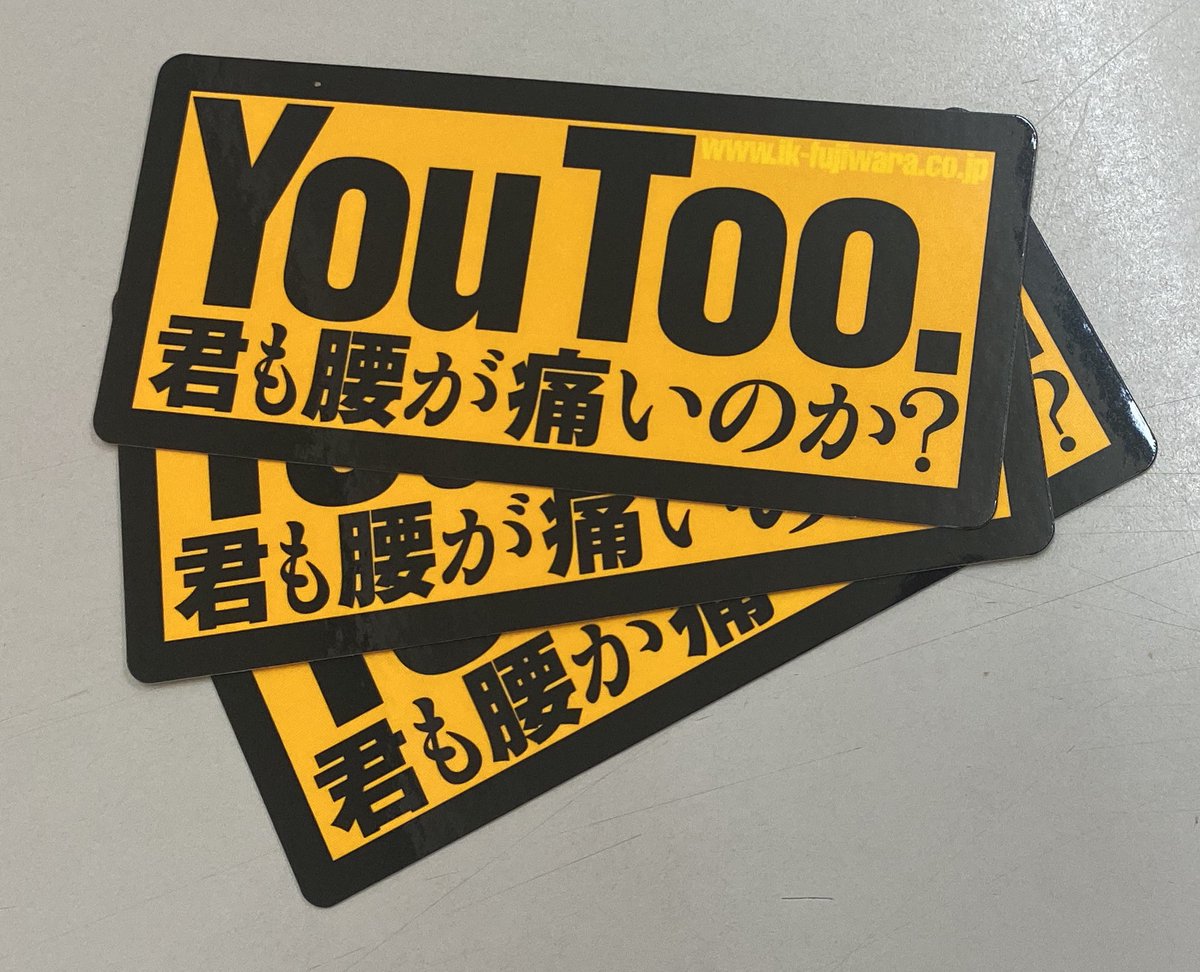 すっ素晴らしい大半キラキラ水晶化どっしりモスアゲート最強開運BIG亀さん可愛い♡ ビックカメラ