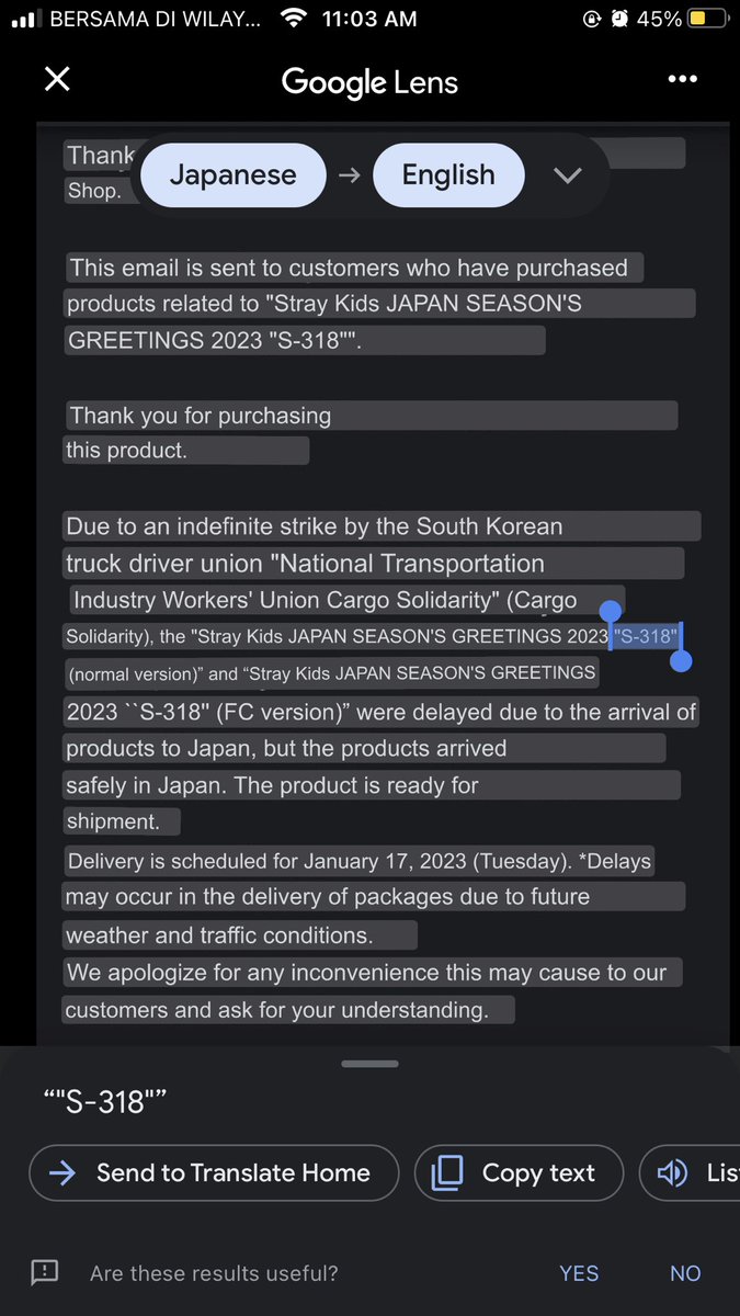 SunShine_Paw's tweet image. Shipping for Stray Kids Japan SG 2023 “S-318” delayed to 17 January

#pawsupdate