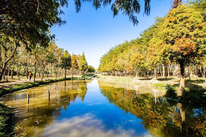 Margare20564860's tweet photo. -魚寮遺址-@kkdaytw @travelyam @klooktw @taiwan @mook_travel_plus #taiwantravel #嘉義景點 #落羽松秘境 @chiayitravel #sonytaiw https://t.co/Xqh11LkPSR
