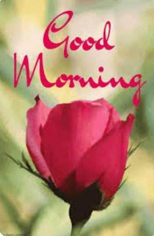 Sandeep Nagre (@sandeepnagre15) on Twitter photo 