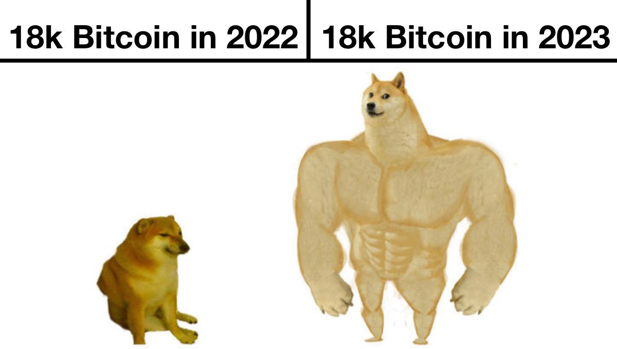 FAT CAT Capital tweet media