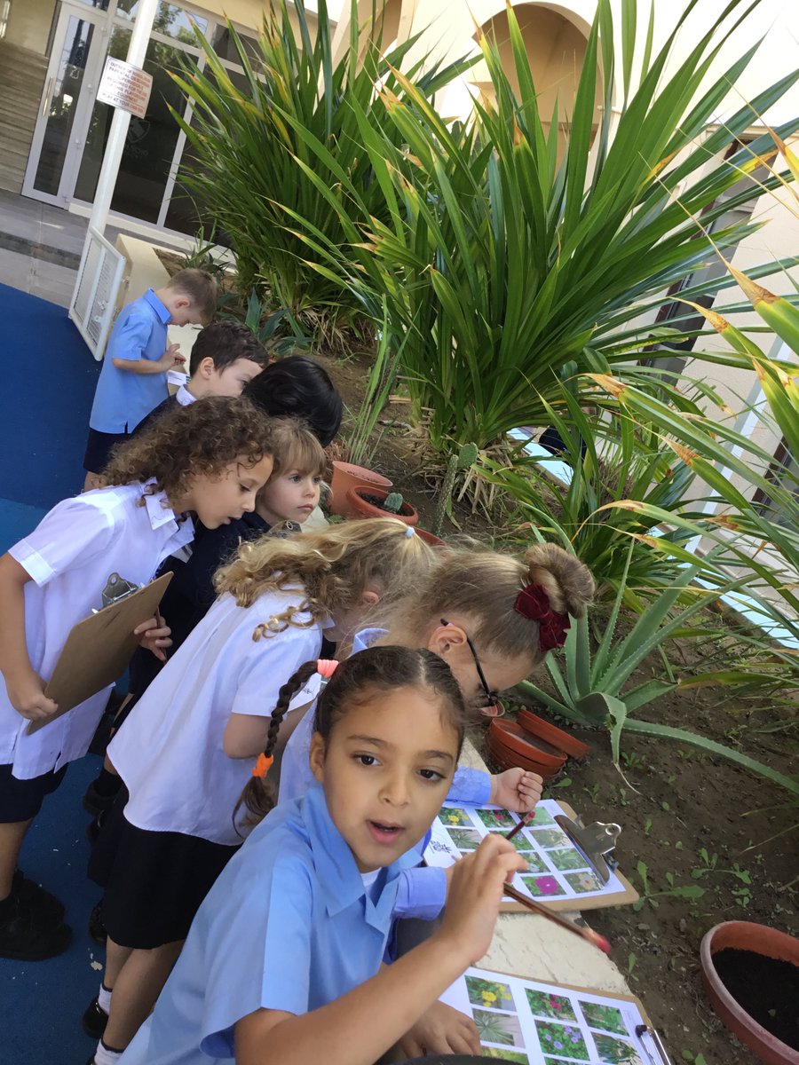 BSM Year 1 tweet media