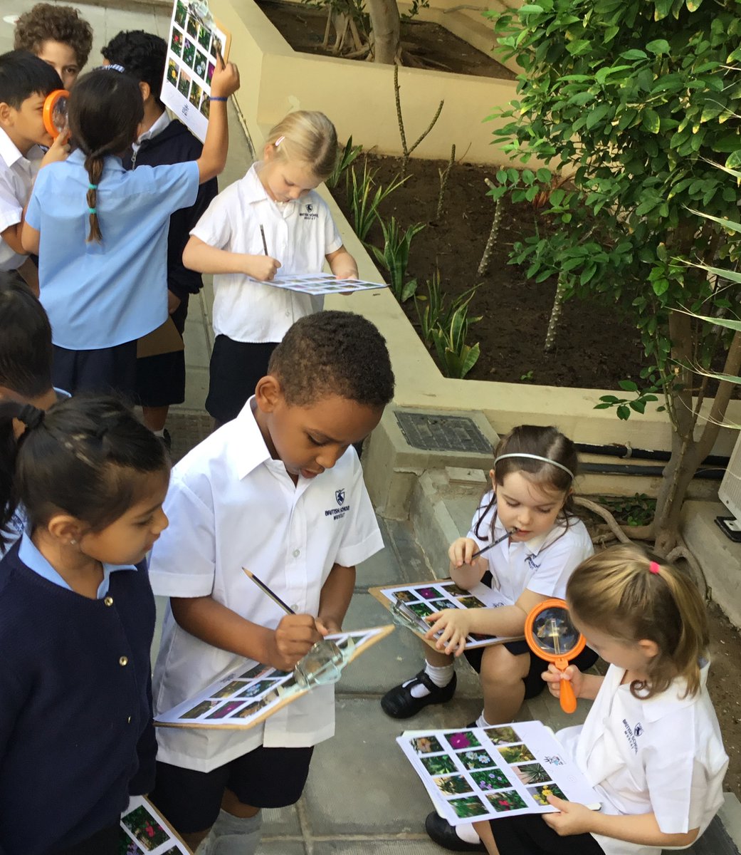 BSM Year 1 tweet media