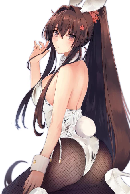 白バニー大和さん(差分 