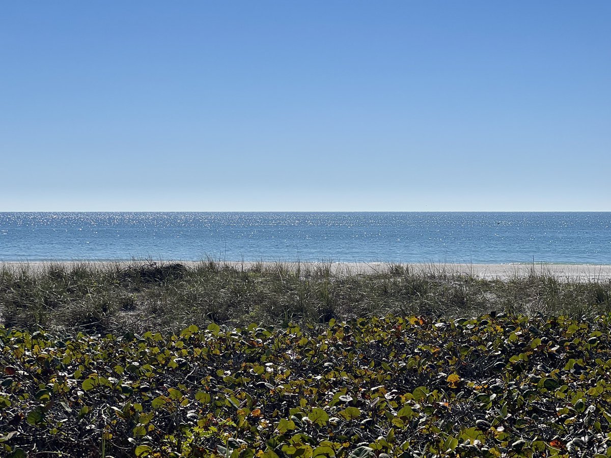 Esc2FL2's tweet photo. #LongBoatKey #LBK #GulfView Know of anyone who would be interested in this view, every day??? https://t.co/5eTEnnQRHJ
