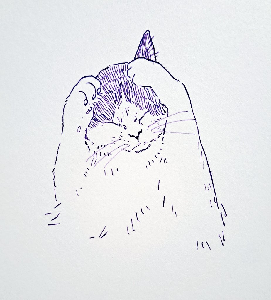 okanyabesi's tweet photo. 固定用
水彩画と最近はガラスペンで絵を描いてます！
猫をよく描きます😸
よろしくお願いします✨

メイキング動画を制作しYouTubeで投稿しています🐱
YouTubeチャンネル↓
https://t.co/vnPpGK2cIA

BOOTHで原画販売もやってますので覗いて見てください(￣▽￣)
にゃべしっ↓ https://t.co/mbTLm713PQ https://t.co/Yqx74JHNdJ