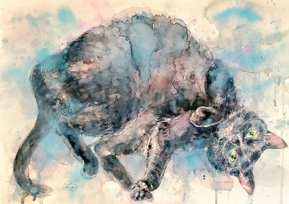okanyabesi's tweet photo. 固定用
水彩画と最近はガラスペンで絵を描いてます！
猫をよく描きます😸
よろしくお願いします✨

メイキング動画を制作しYouTubeで投稿しています🐱
YouTubeチャンネル↓
https://t.co/vnPpGK2cIA

BOOTHで原画販売もやってますので覗いて見てください(￣▽￣)
にゃべしっ↓ https://t.co/mbTLm713PQ https://t.co/Yqx74JHNdJ