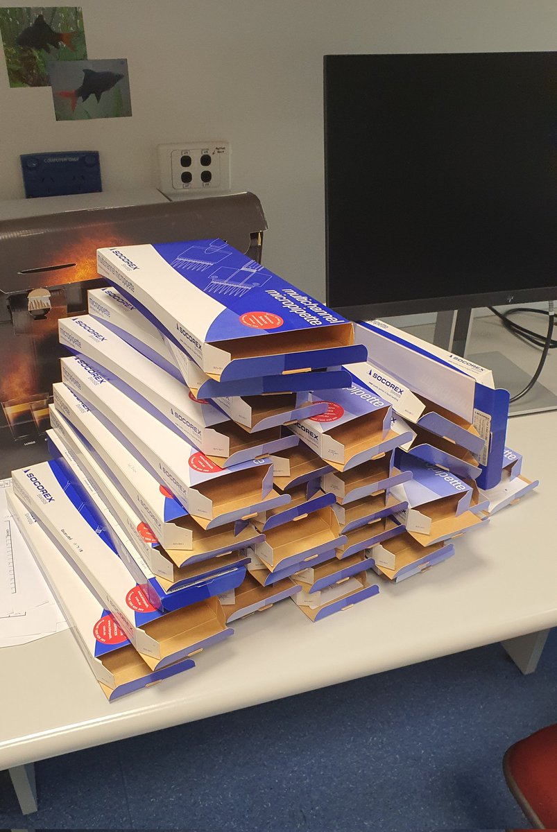 It's 2023 and we are going to stop hoarding empty cardboard boxes.