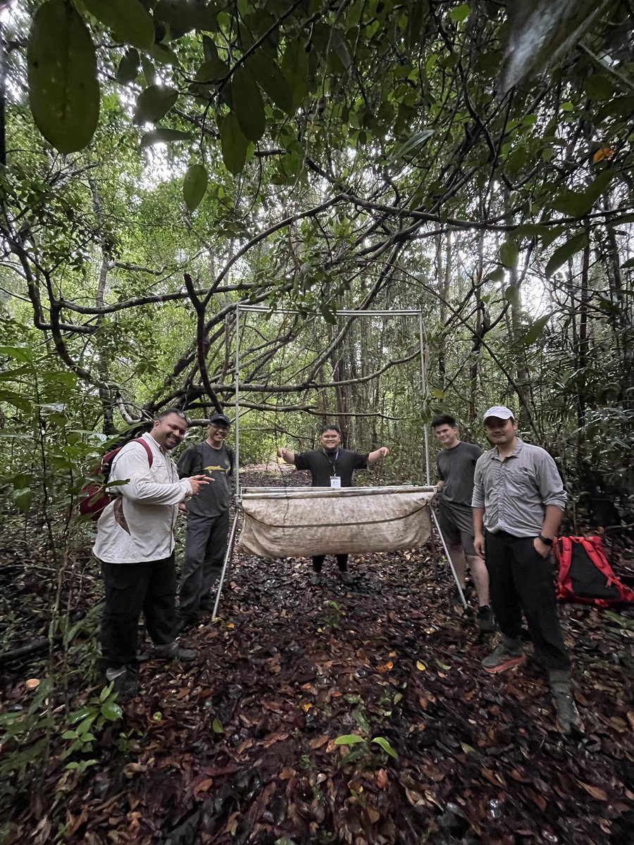 see who I met in the jungle of Brunei 😁 <a href="/Faisal_AnwarAli/">Faisal Ali Anwarali Khan</a>