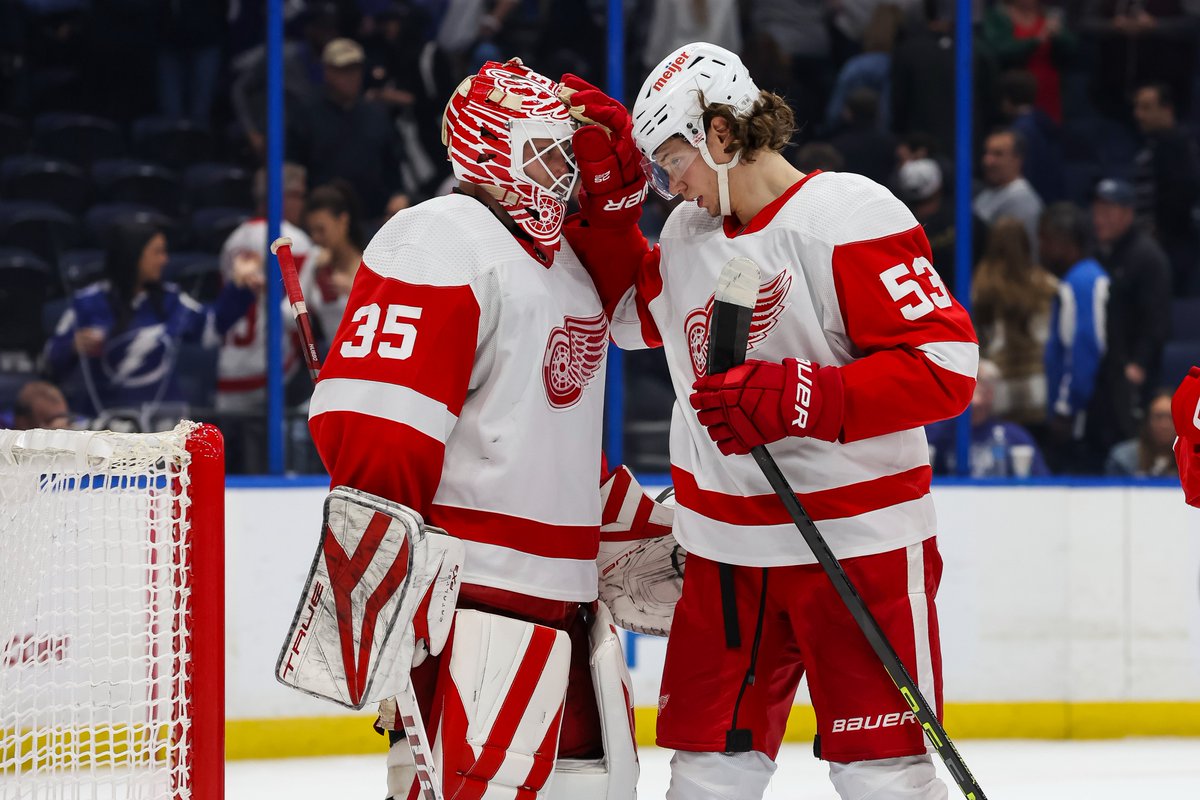 GET 'EM TO THE ALL-STAR GAME!

1. Pick your #RedWings All-Star. 
2. Retweet. Tweet. Quote Tweet. Reply. Now through Jan. 14th!

Examples ⤵️
#NHLAllStarVote + Moritz Seider
#NHLAllStarVote + Ville Husso