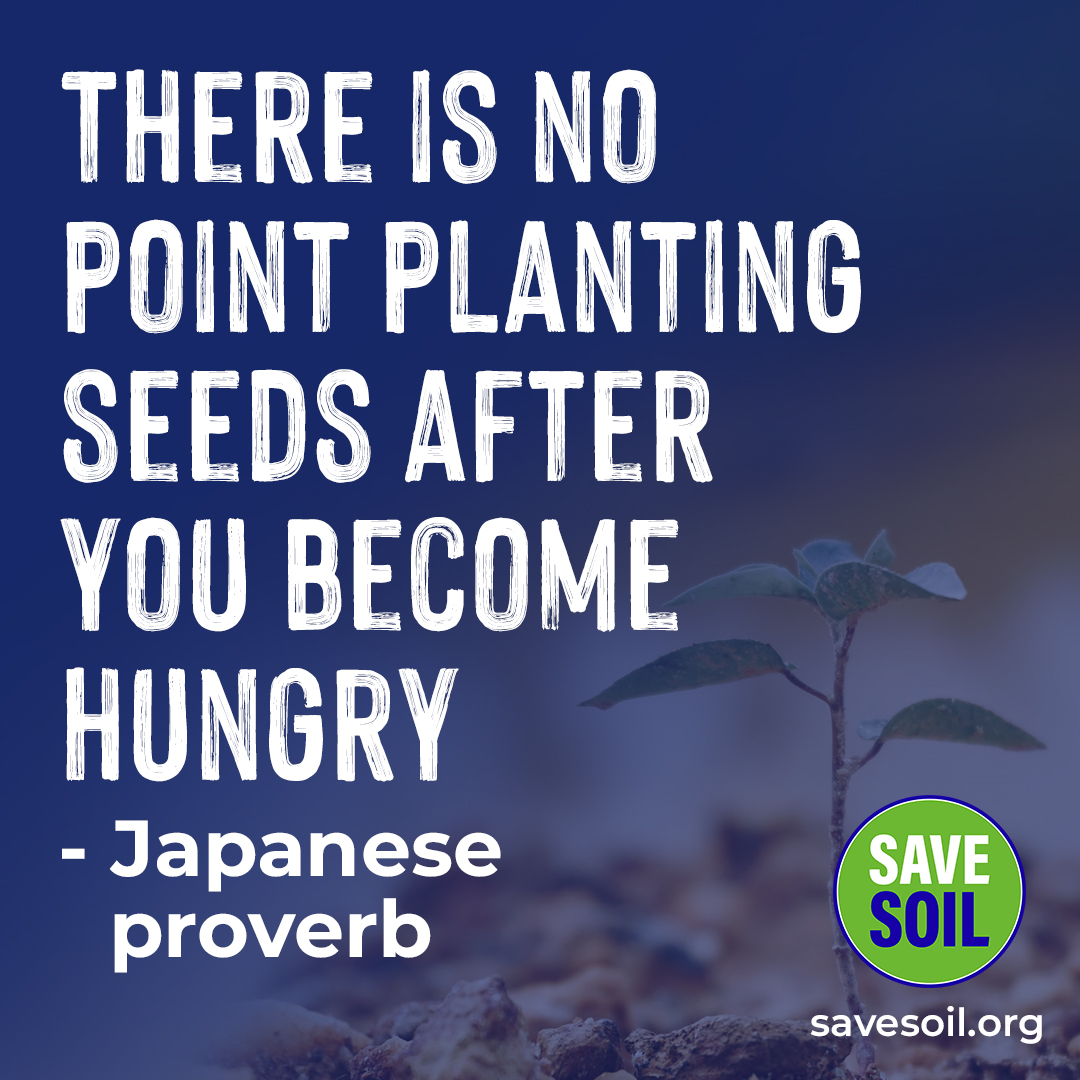 The Iconical🌱 Project Seed Ball tweet media