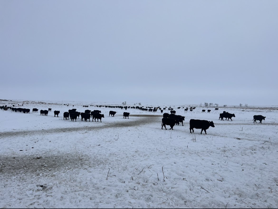 JakeGroft1's tweet photo. Feed the girls on the far end a little exercise never hurt! https://t.co/hbR5UXrQz6
