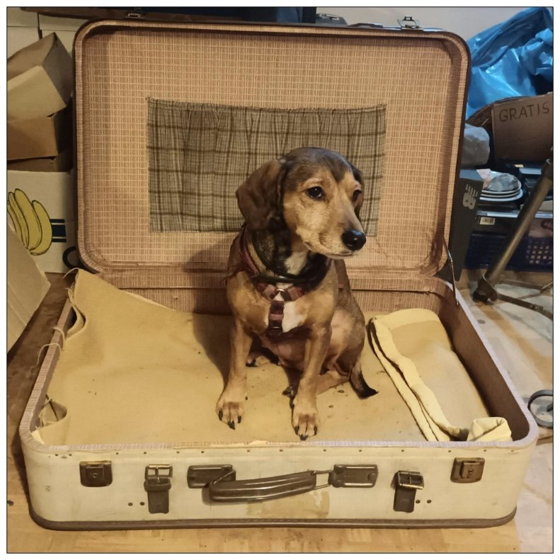 Lulu, die Koffermaus