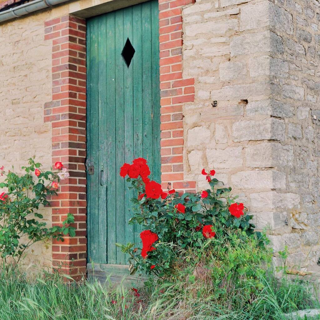 wyemji's tweet photo. Bourgogne 
•
•
•
•
•
#contax645 #filmphotography #fujifilmpro400h #loves_france #francetourisme https://t.co/qdGtQP7Kvs https://t.co/LUnN0tTxUl