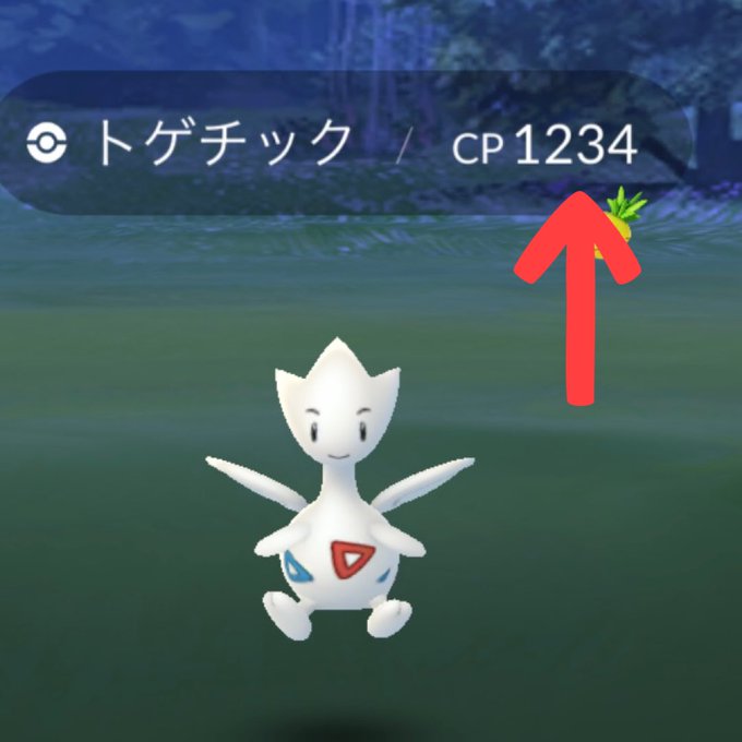 画像まとめ ドラゴンコレクション 日付順 アニメレーダー