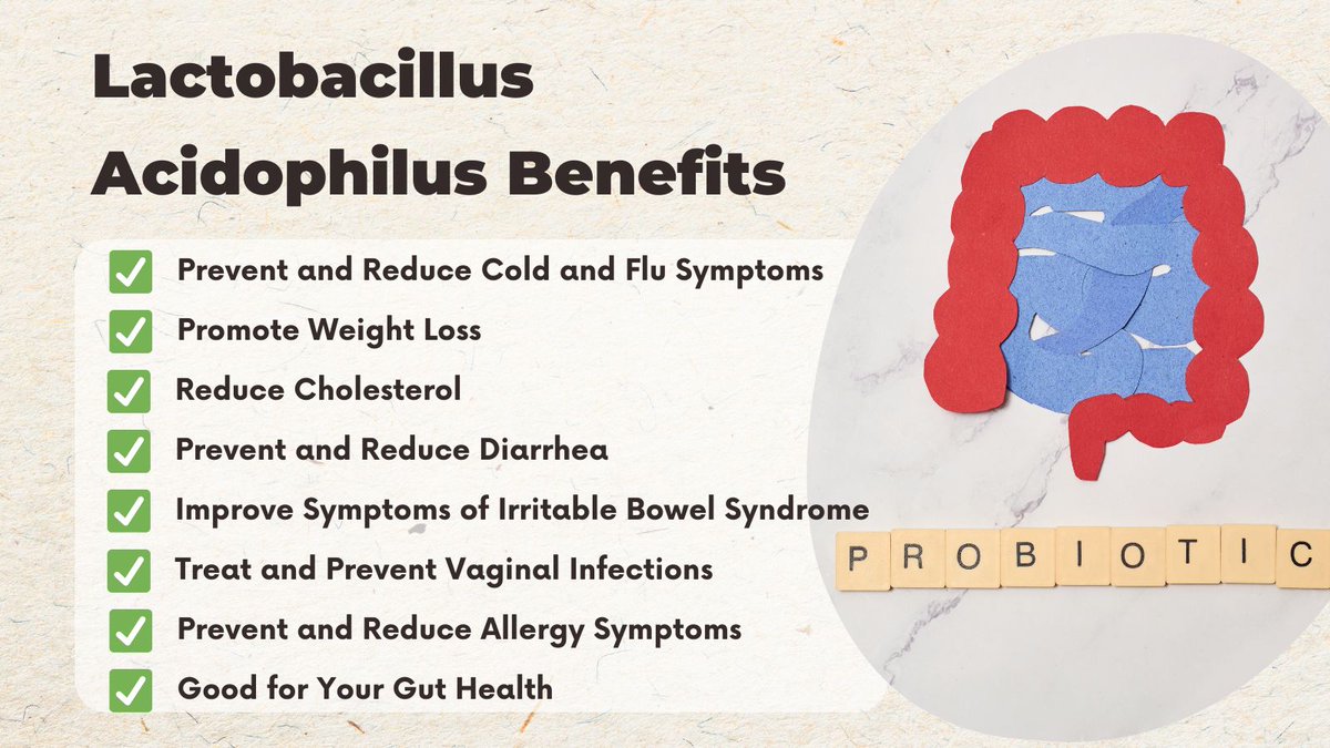AlbertoHimmel's tweet photo. Lactobacillus acidophilus is a type of bacteria found in your intestines. It often used as #probiotics.
You can find it in our #Synogut supplement.
👉https://t.co/OWRCPhO3TI
Here are 8 ways how it may benefit your #health.
#guthealth #supplements #fitness #weightloss #allergies https://t.co/zUQmCKyOho