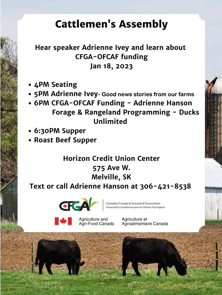 worhan_ranch's tweet photo. Area cattle producers! Come hear @adrienneivey and check out the details of the CFGA-OFCAF and @ducanada programs!
#cfga #cattlemensassemly #ofcaf #ranchers #Melville #horizoncreditunioncenter #extension #community #retweet https://t.co/n1GtPpLVeJ