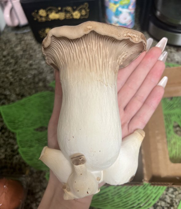 She is beautiful, I&rsquo;m obsessed 😳😭 what should I cook with this trumpet mushroom 🤔 (ps I do not know how