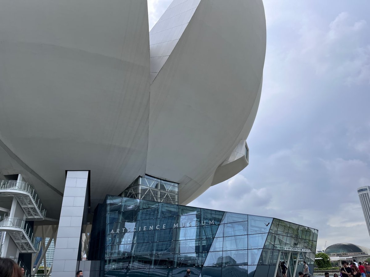 BengaLuana's tweet image. 