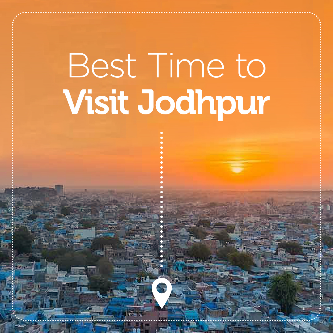 clubmahindra's tweet photo. If you plan to have a good time, Jodhpur's striking architecture, mouth-watering delicacies, and a sunny weather🌞will delight you and your family❤️✨! Visit https://t.co/Bjn3qcILvq to know the best time for your stay.
#ClubMahindra #Jodhpur #RajasthanGuide #TravelGuide https://t.co/1chTAIUJvf