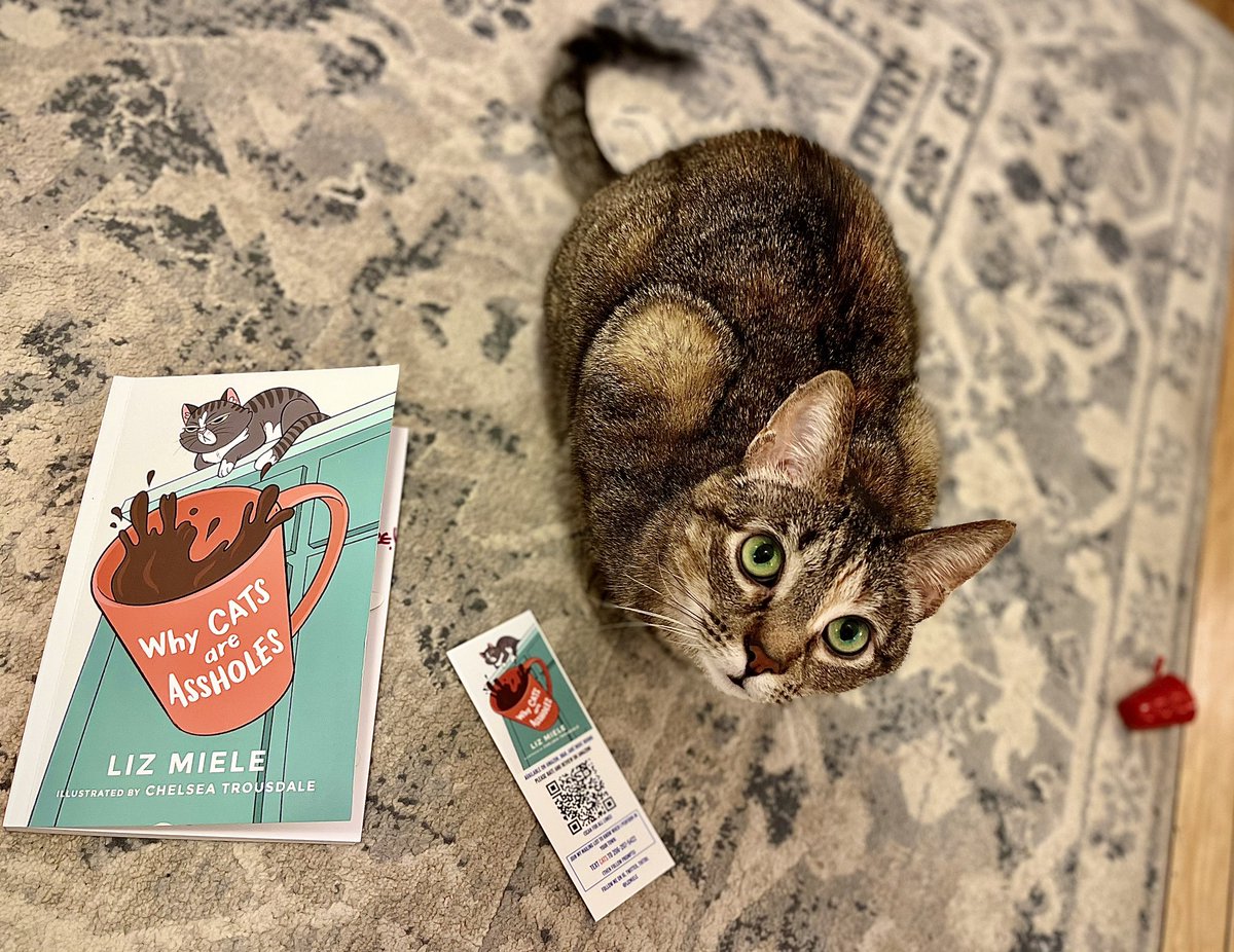 FrictionSlide's tweet photo. Currently aware of 99ish reasons, but my mind is ready to be opened wide. #whycats #buythisbook https://t.co/VPTKq7J7gf
