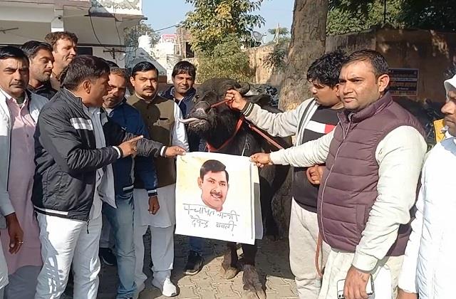 punjabkesari's tweet photo. सरपंचों ने अपनी मांगों को लेकर किया अनोखा प्रदर्शन, झोटे के गले में देवेंद्र बबली का माला डालकर बजाई बैंड
https://t.co/5bM47QpgY9

#Haryananews #haryanahindinews #हरियाणान्यूज #हरियाणाहिंदीन्यूज #latestharyananews #Sonipatnews #Sarpanchs #demonstratio https://t.co/8eUeWCLk6F